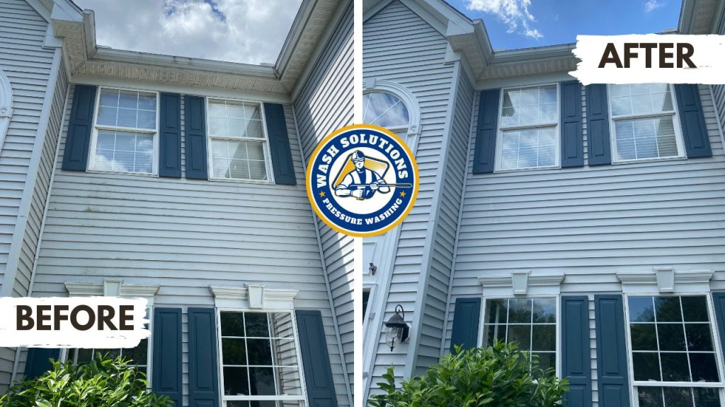 soft washing loudoun county